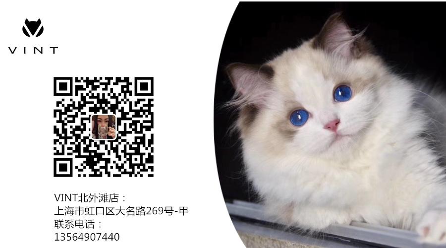 猫咪常见疾病治疗用药,猫咪常见眼睛疾病及护理