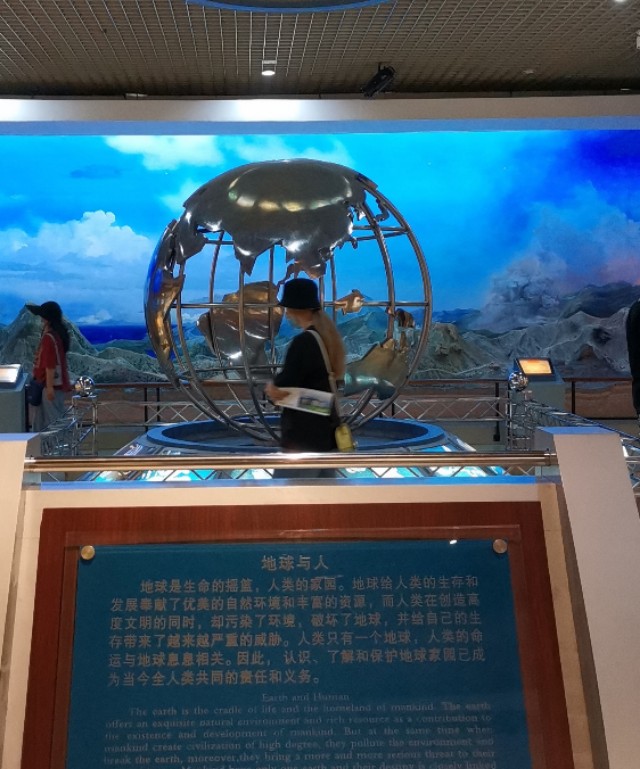 威海鲸鱼标本博物馆,鲸鱼演化博物馆标本