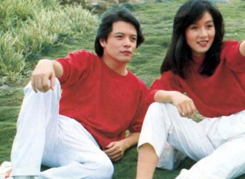 琼瑶剧的十大男性哪位最帅,前十位琼瑶剧男明星中分别都有谁