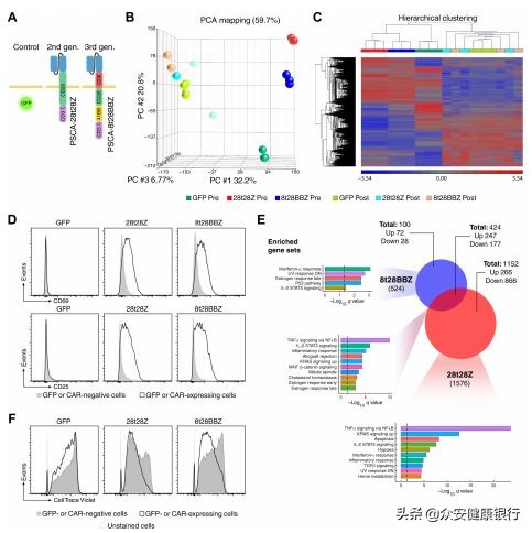 car-t细胞免疫疗法最新价格,中国首个car-t细胞疗法获批