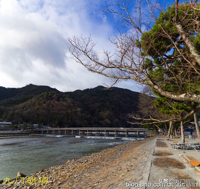 京都岚山风景区在哪,京都岚山樱花