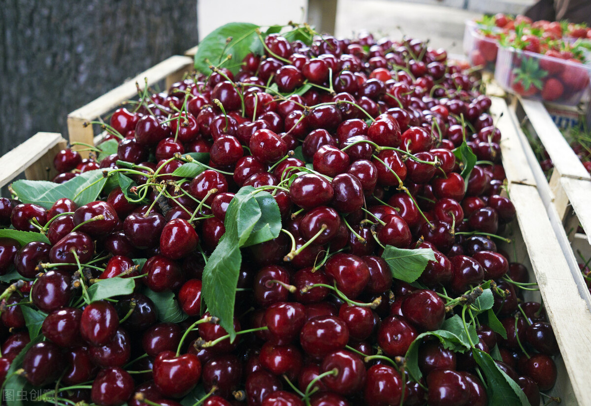 五一前后6种碱性水果别错过,两种碱性水果要常吃