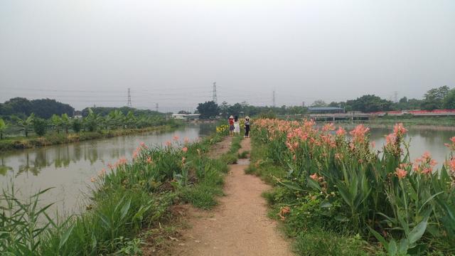 中山崖口美食推荐,崖口村煲仔饭云吞团购