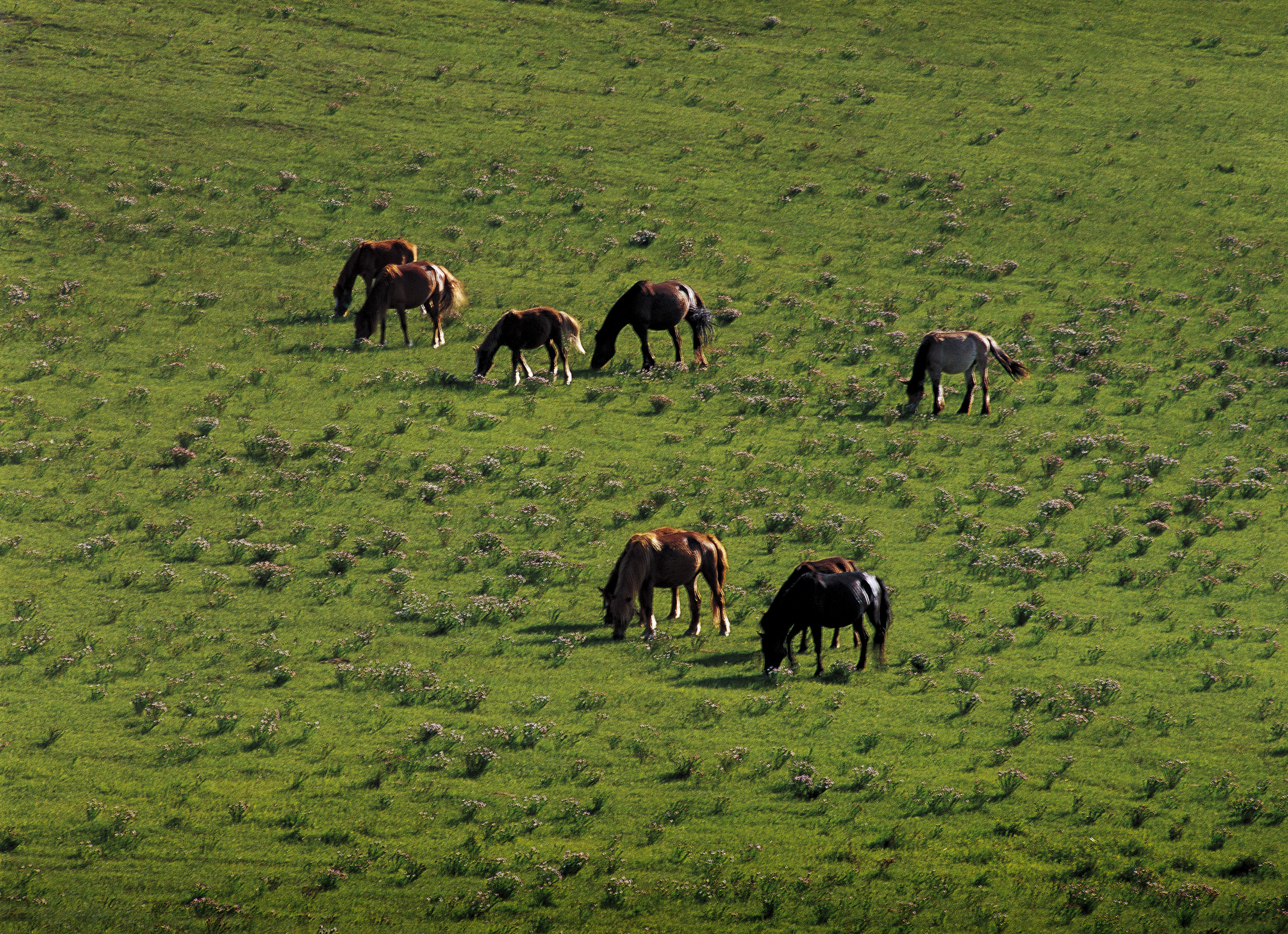 坝上草原天路美景,大美坝上风光系列之一