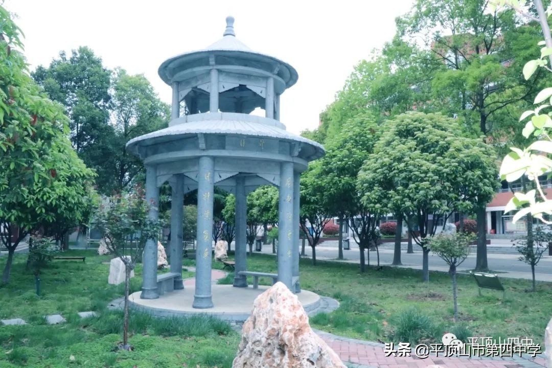平顶山第四十六中学招生,平顶山实验中学2024招生简章