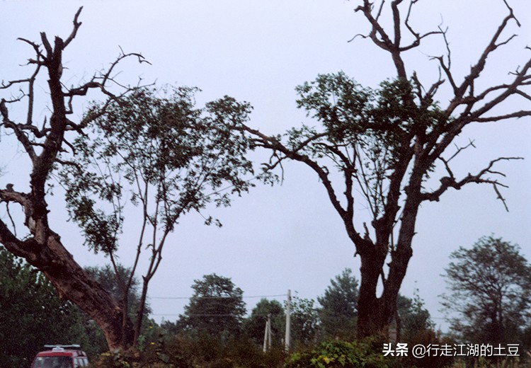 凤阳明太祖朱元璋老家,凤阳朱元璋故乡皇陵