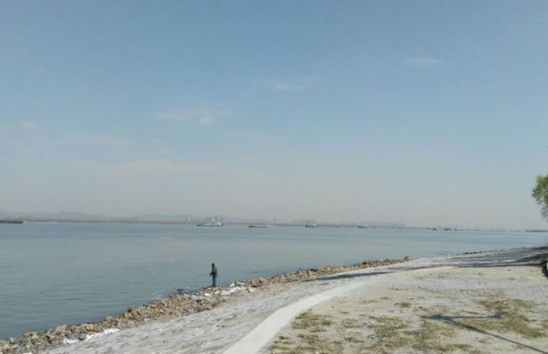 南京这些免费公园，让你任性玩个遍