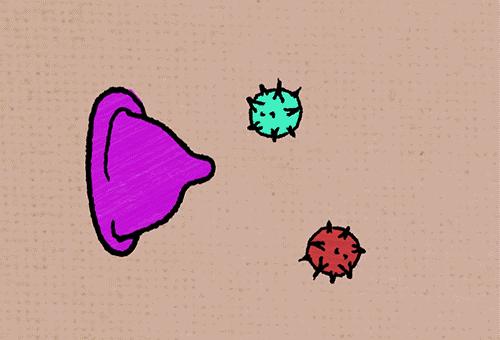 安全套能有效防止什么传染病,安全套有效防止传染病