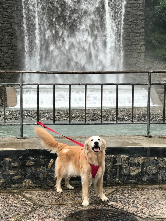 成都喇叭河自驾,自贡到喇叭河自驾