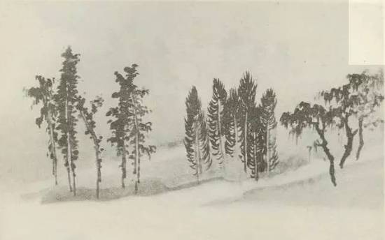 画树教程,怎么画树好看又超级简单