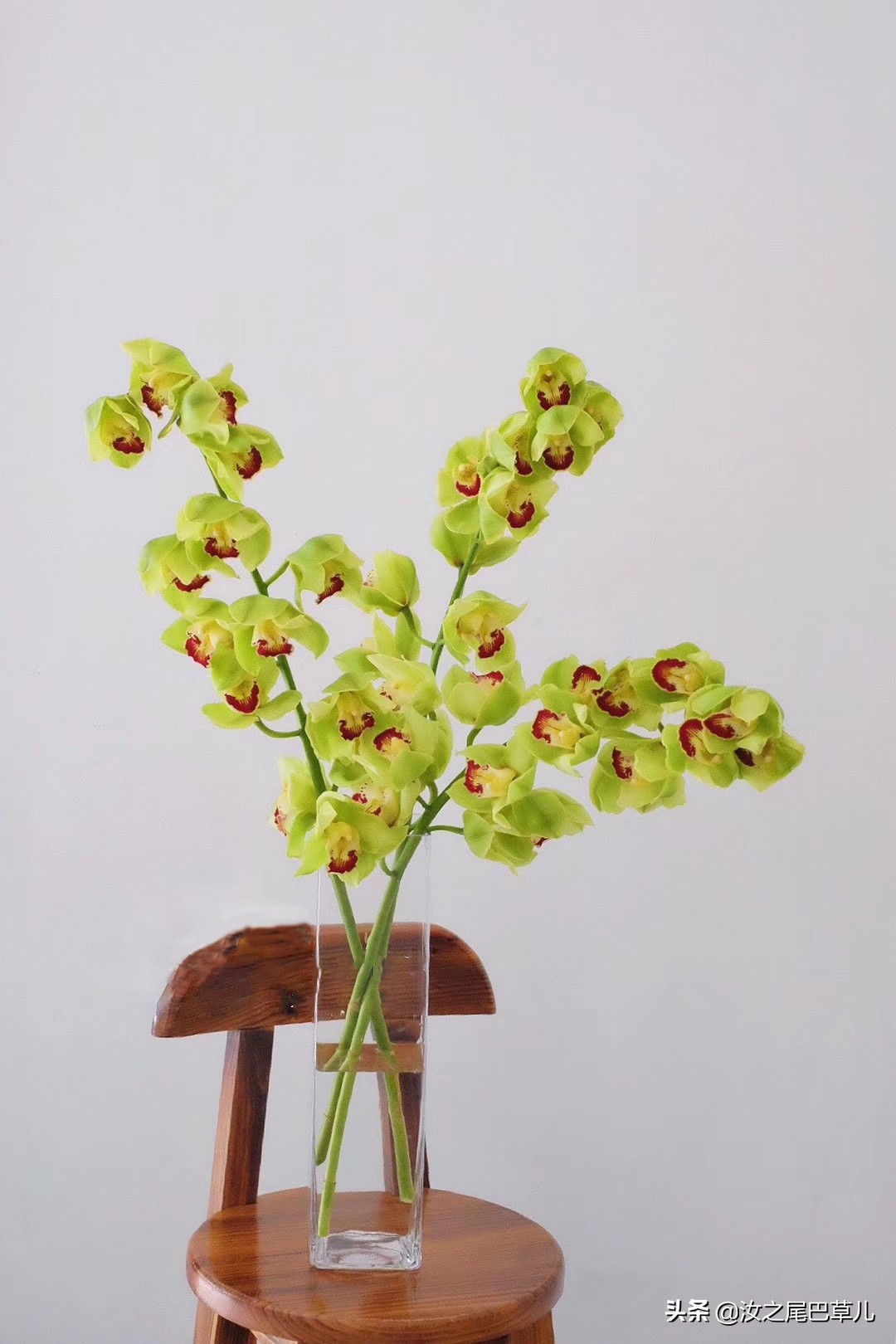 鲜花蔫了注意事项,买的鲜花有点蔫怎么养