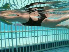 打自由泳腿髋怎样发力,打腿游泳自由泳