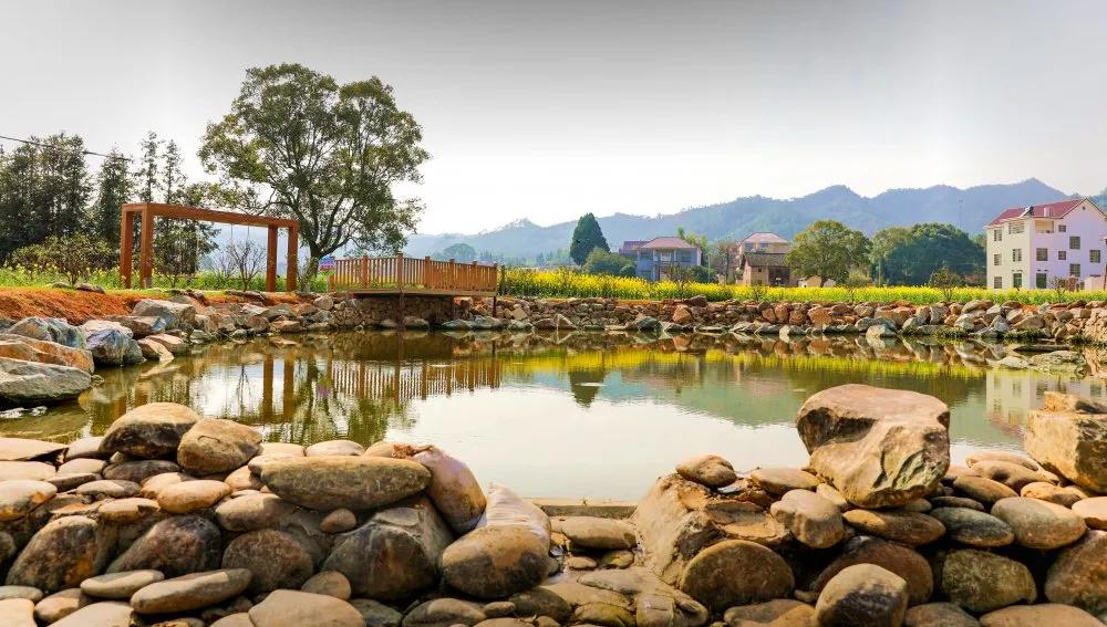 【谁不说咱家乡美】美丽中国，“乡”约万安（河西片）