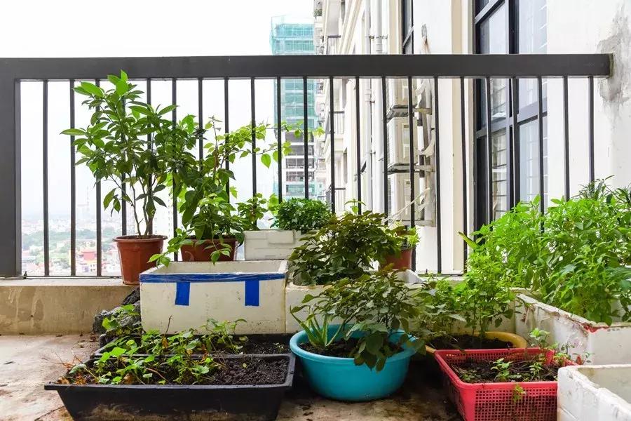 老人带孩子这六种行为一定要干预,为什么老人带孩子不听话还没礼貌