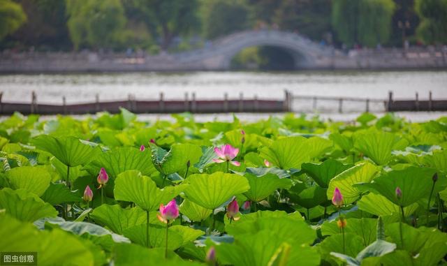 季羡林采访回顾五：变身宿舍看门人，偷偷用纸条译出三百万字
