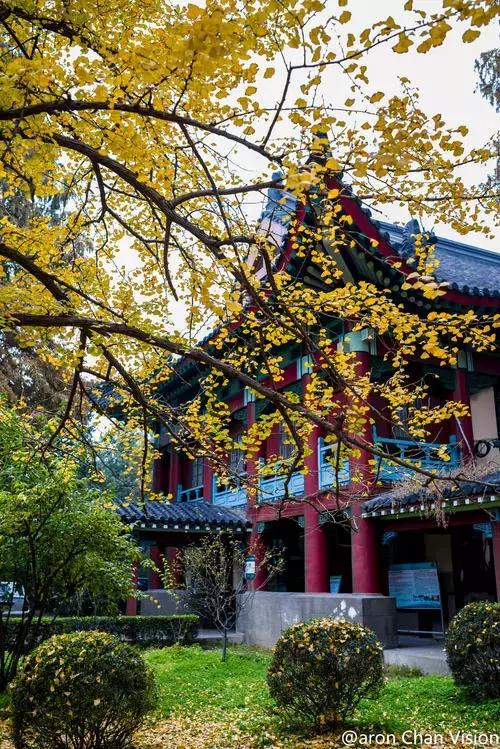 亚洲宜居城市排名2019,中国唯一一个国际评选的宜居城市