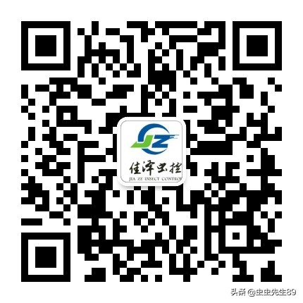 蟑螂生活习性,蟑螂的习性和生活