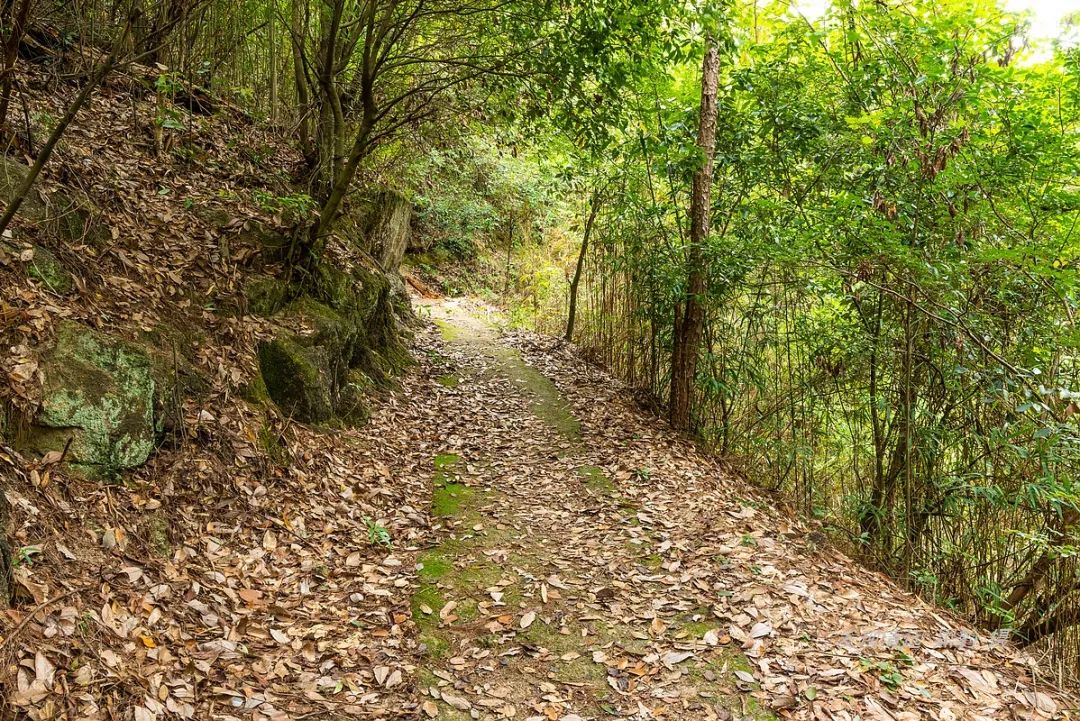 一次平常溯溪，竟意外发现广东最隐秘瀑布野温泉谷