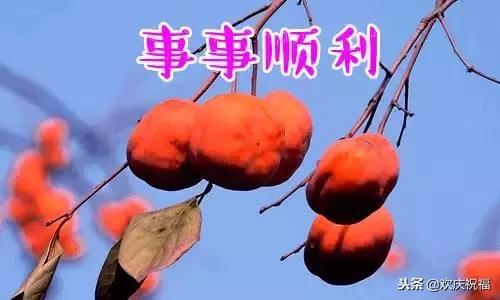 新年微信祝福贺卡,以微信为主题的新年贺卡