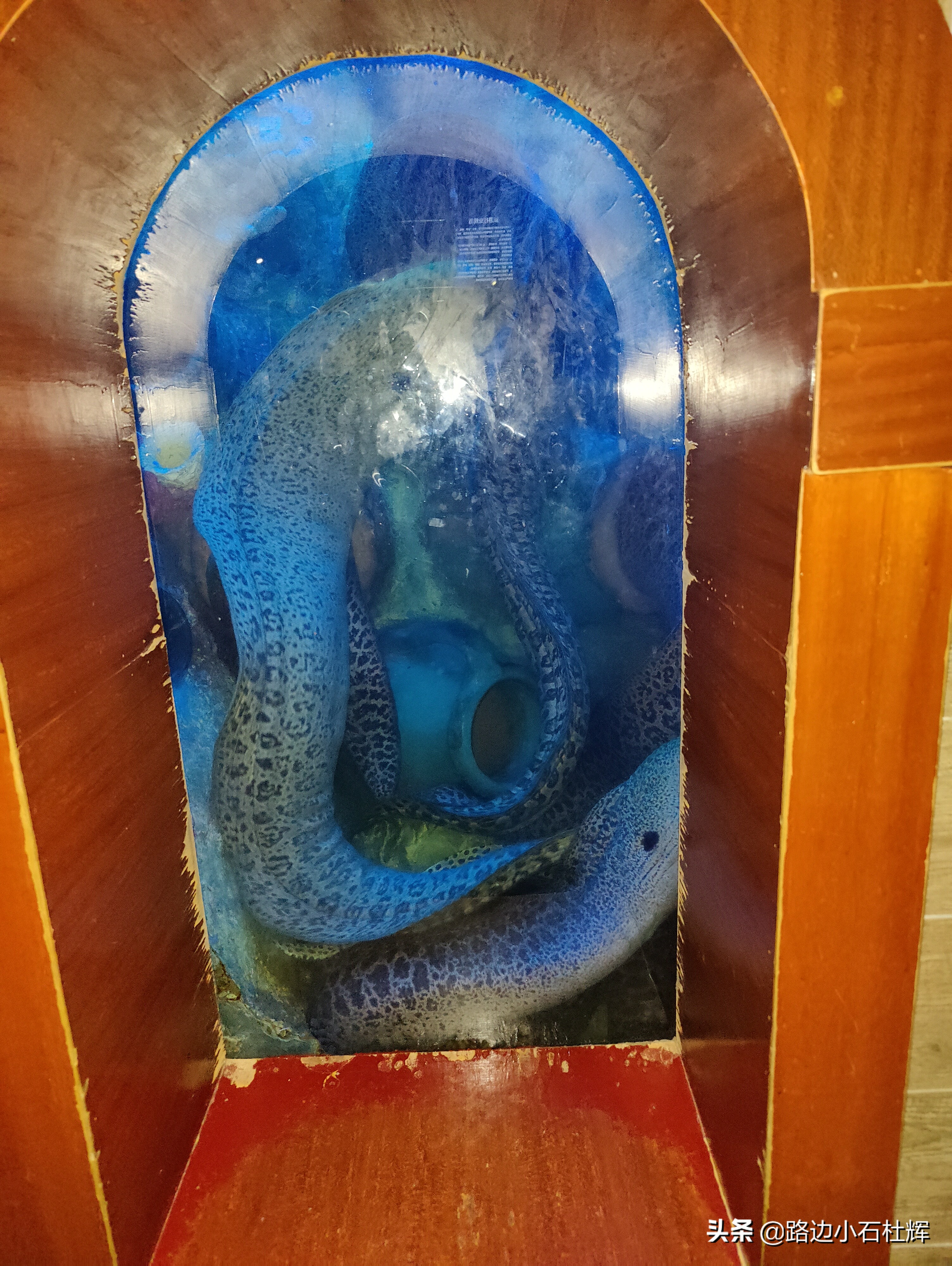 北京海洋馆海底世界游玩攻略,海洋馆北京海底世界游玩路线