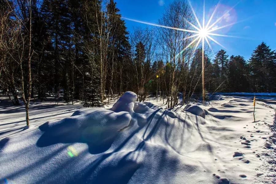 哇！这元旦“两公布一提示”攻略，各位可爱的童鞋快快收藏起来！