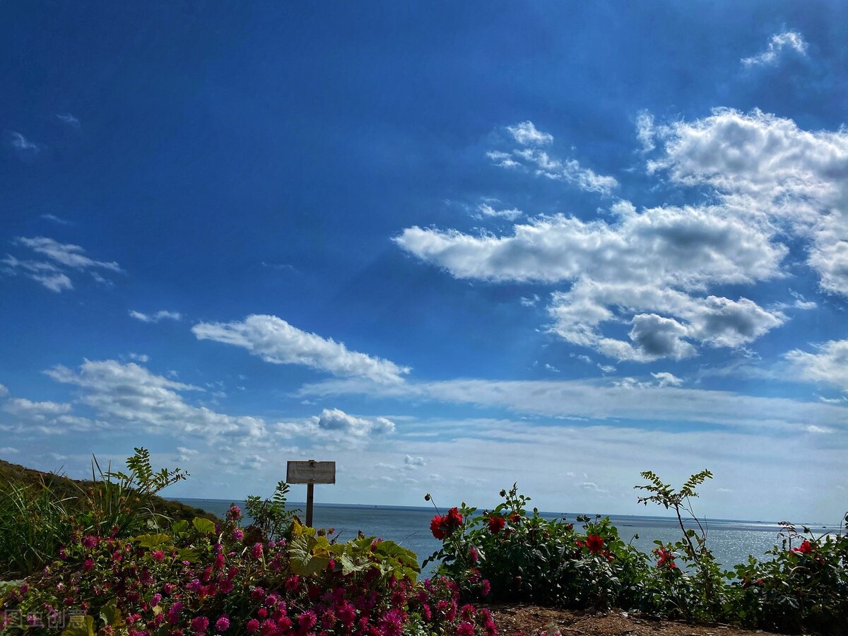 辽宁被低估的城市,辽宁最被低估的省份