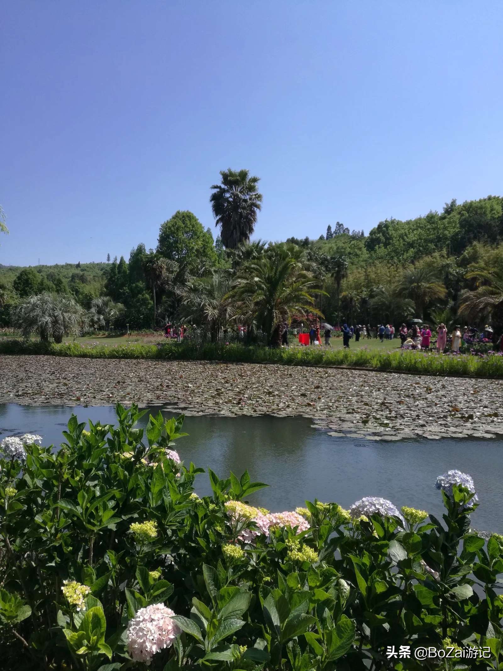 到昆明游玩必去的景点推荐一下,昆明官渡附近景点哪里好玩免费的