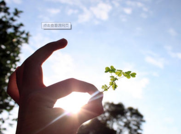 新手刚注册百家号可以申请原创吗,注册百家号怎么填写更容易通过