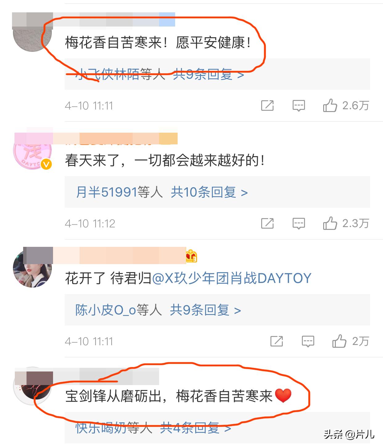 肖战时隔两个月首次发声，网友：梅花香自苦寒来