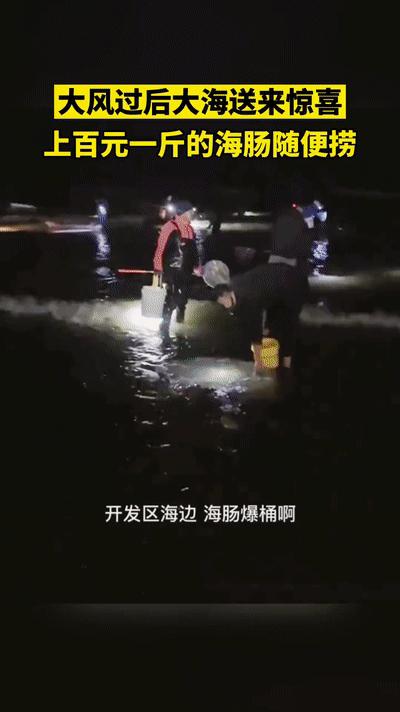 烟台赶海海肠,山东烟台大风刮海肠