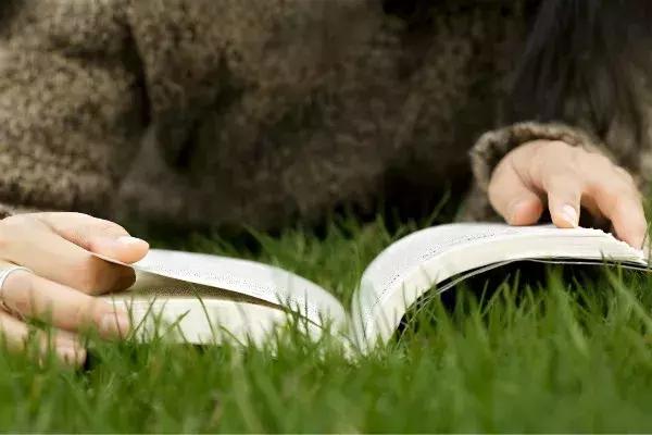 娃娃适合看什么书,暑假孩子适合看哪些书