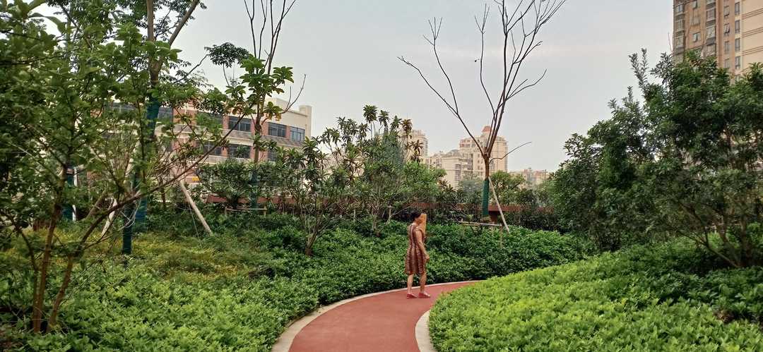 忆当初青春年少,再忆青春完整版