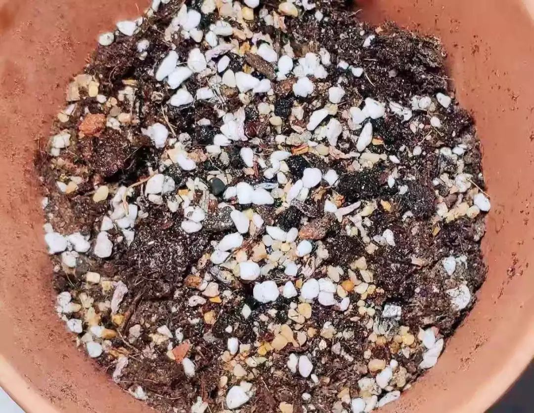 那些年被我们误会的名字,那些年被误会的歌