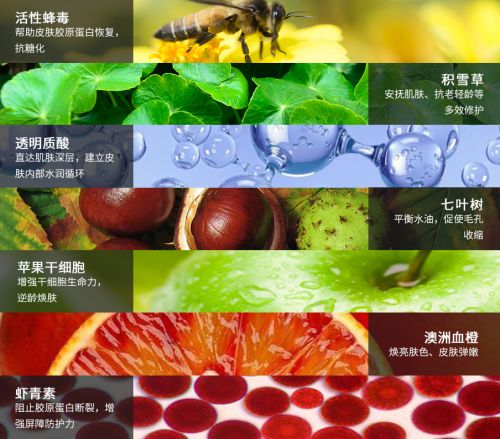 何洁怎么和以前长得不一样了,何洁的造型越来越暗黑了