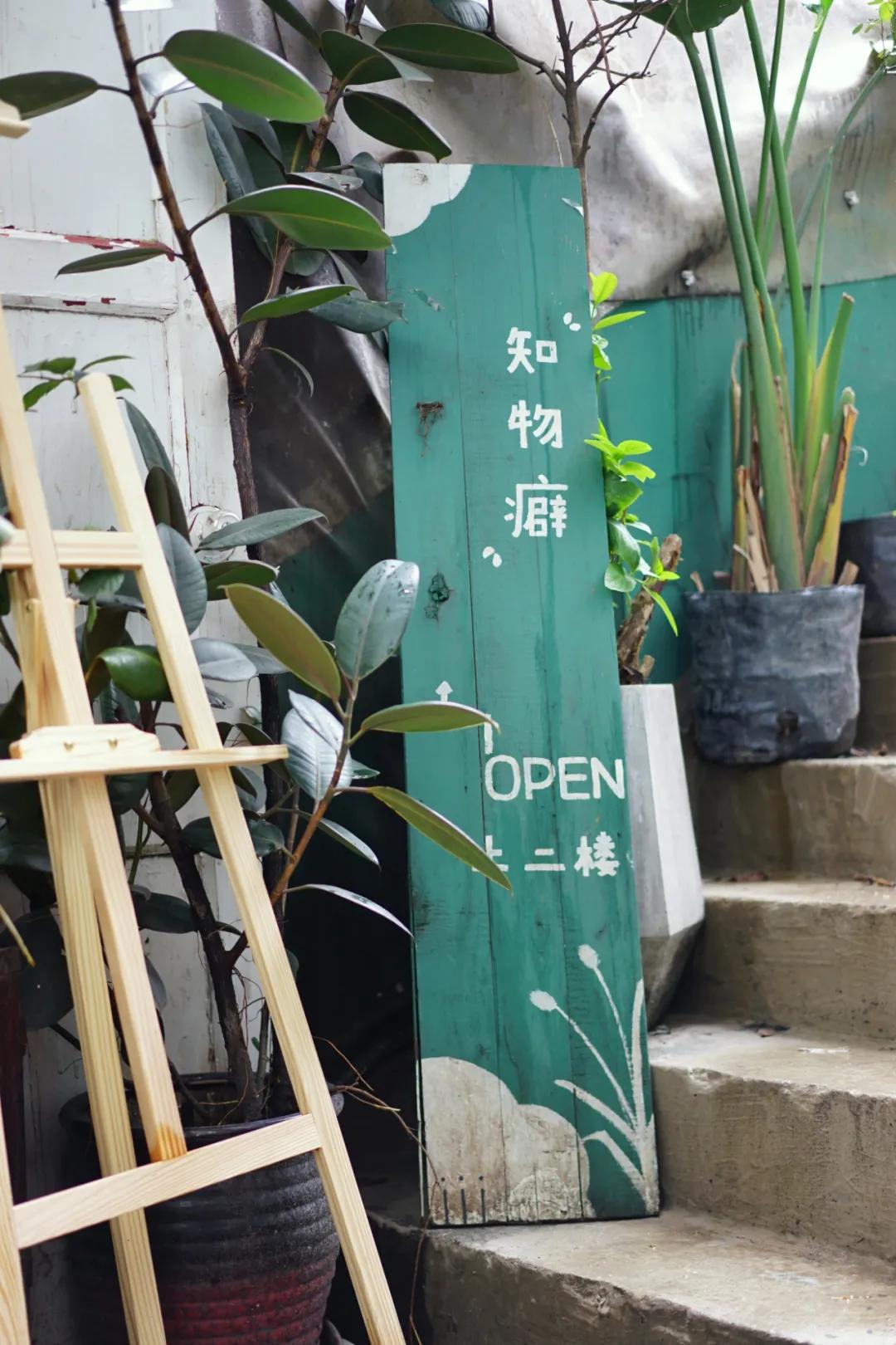 成都两个小姑娘开的老房子花艺杂货铺，外地游客不远千里专程打卡