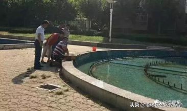 城市惊现连环杀人案例,夏日连环杀人案完整版