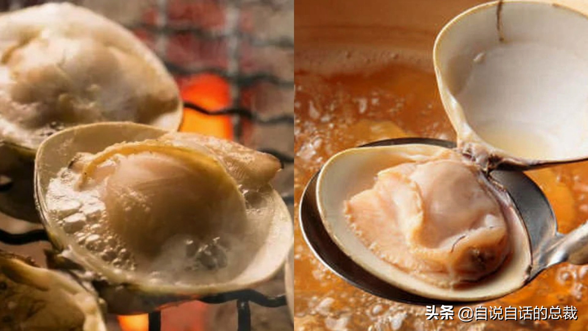 蚶蛤蛏蚬区别,蛤蜊蚶子蛏子区别