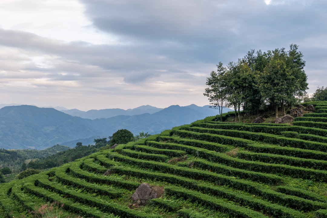 南靖景区有哪些好玩的,南靖风景好的地方推荐