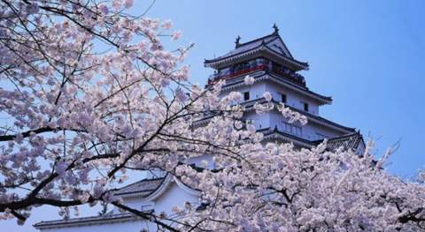 南京天道教育留学机构,南京天道出国留学中介