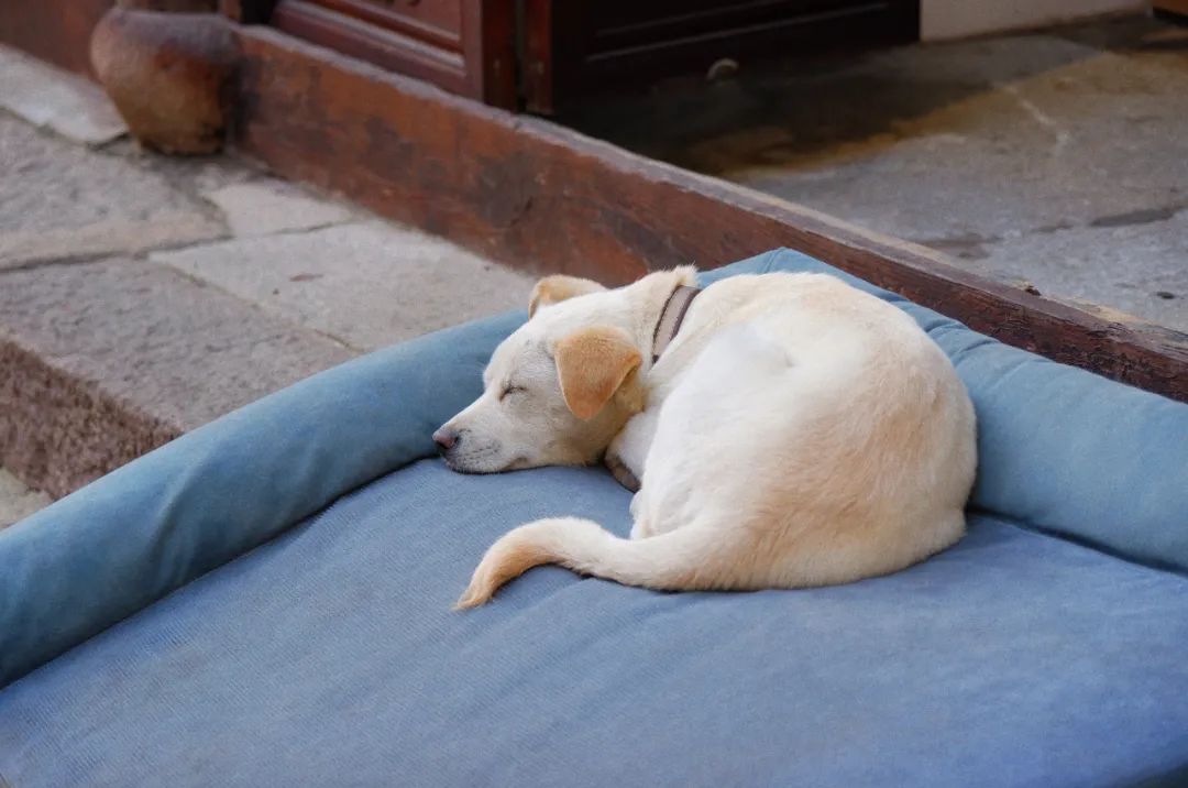杭州最有名的老字号美食,杭州十大老字号美食