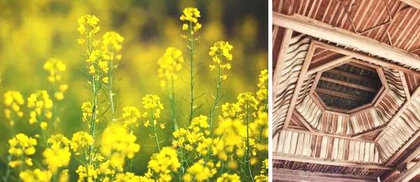 韶关最值得去的古村,韶关私藏了一个粉墙黛瓦的古村落