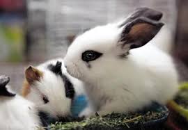 疫情的情况下做什么比较适合,疫情这几年最适合做的事情