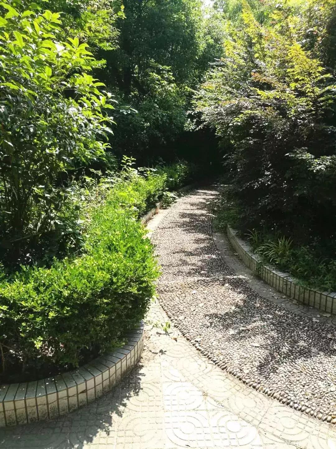 打造私人会所庭院,300平方园林式露天会所