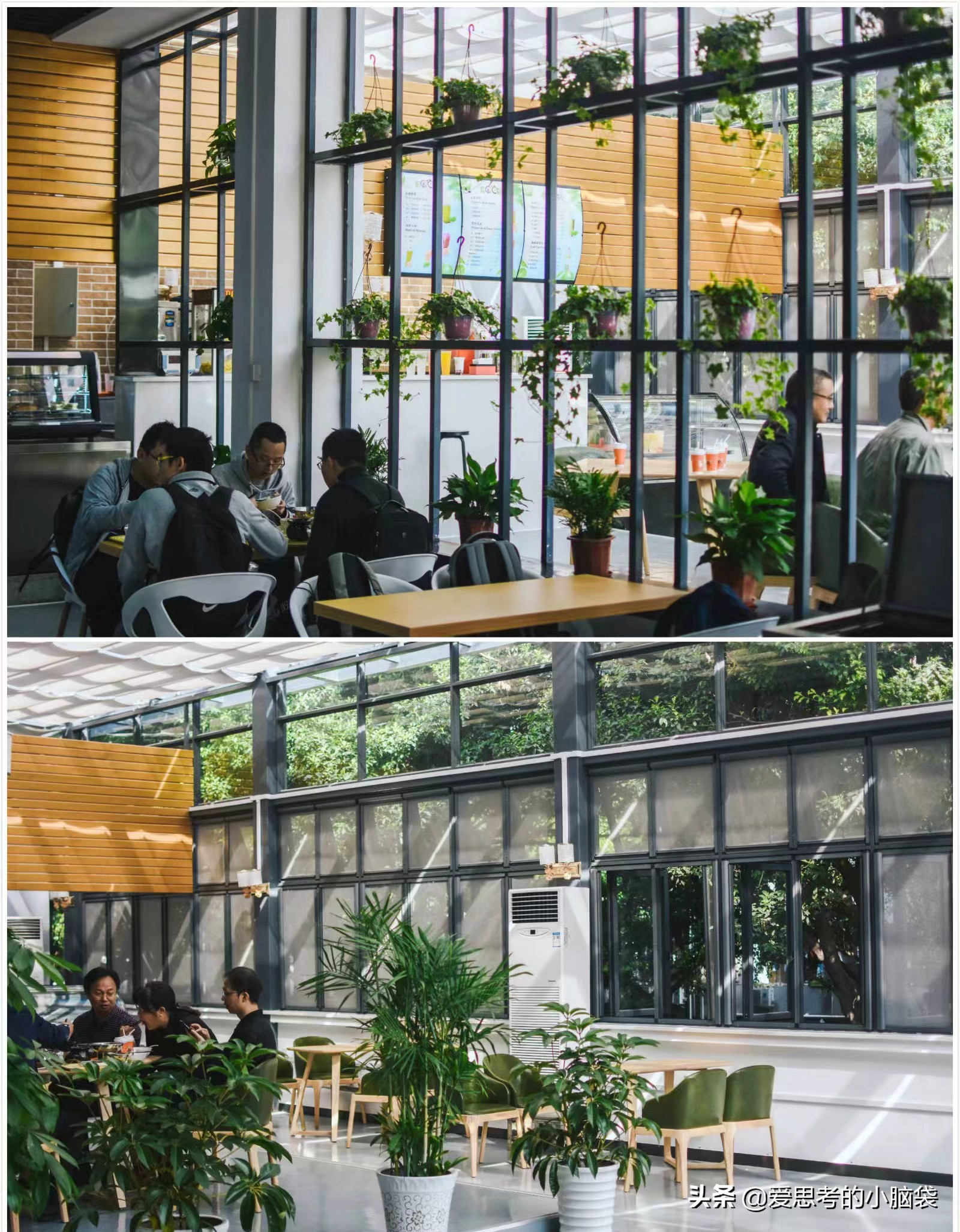 川大真实情况,川大人