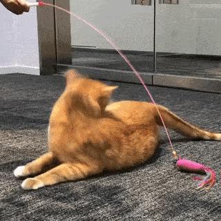 软骨素治膝盖痛,软骨素对膝盖疼痛有效果吗