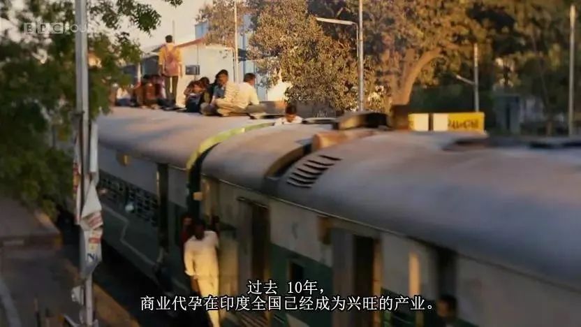 “25万出租子宫”短片被围观5.5亿次：你赚钱的样子，真丑！