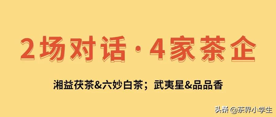 茶企和茶产业合作方案,茶叶产销合作模式
