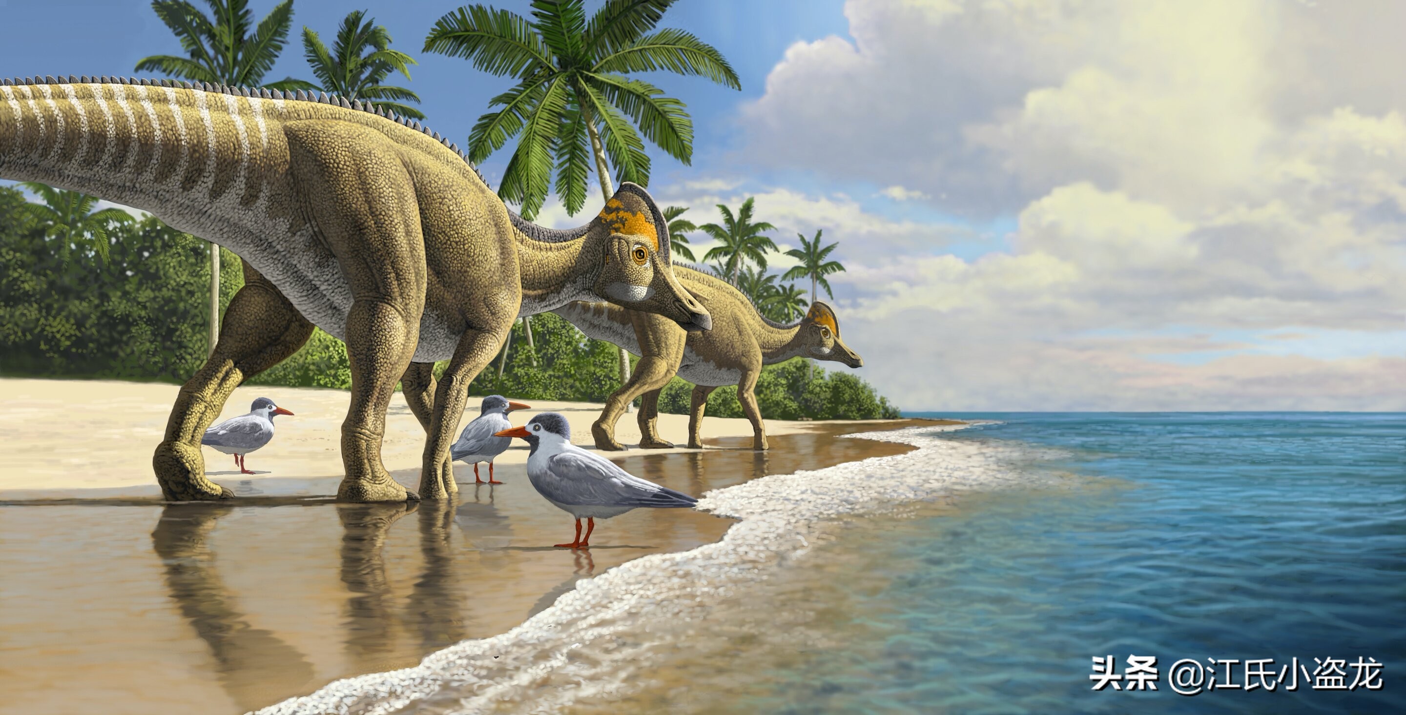 古生物学家发现恐龙新物种,古生物专家介绍侏罗纪