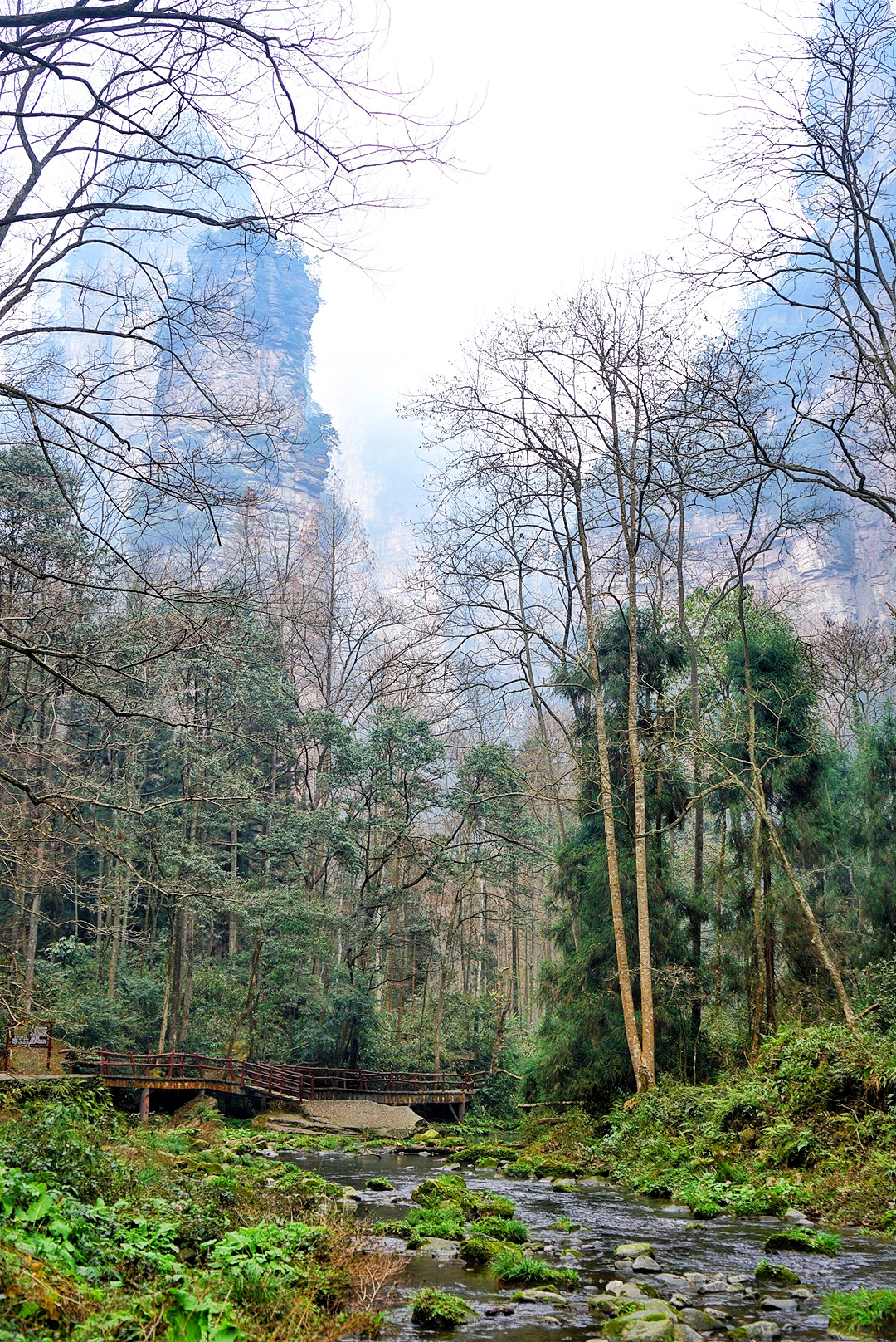 张家界雪季攻略,冬天湖南张家界攻略