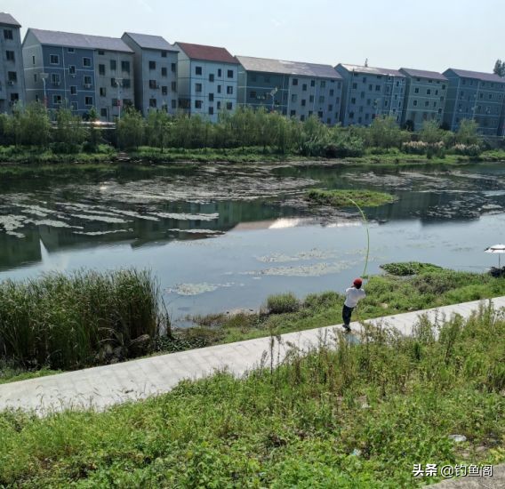 为什么野钓渔获越来越少,现在野钓基本没啥渔获